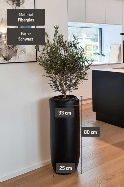 Hoher runder Pflanzkübel aus Fiberglas in Schwarz mit Olivenbaum. Höhe 80 Zentimeter, Durchmesser oben 33 Zentimeter, unten 25 Zentimeter.