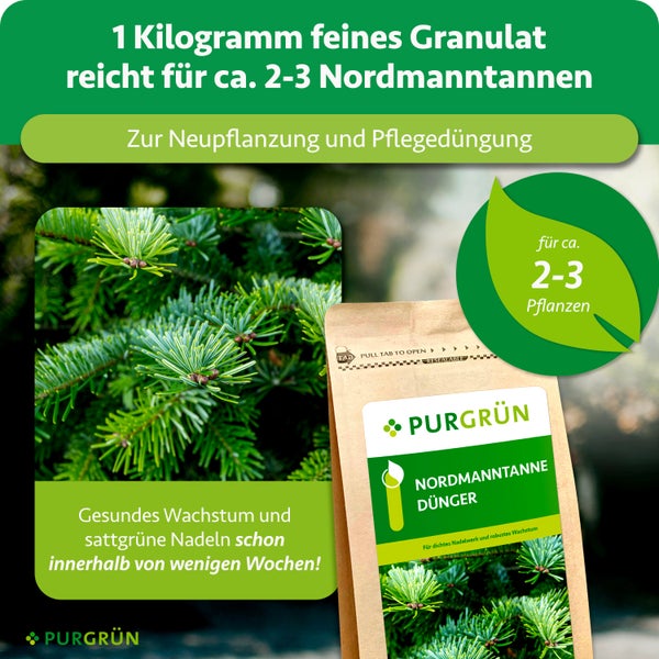 Purgrün Nordmanntannen Dünger, ein Kilogramm feines Granulat für circa zwei bis drei Pflanzen, geeignet für Neupflanzung und Pflegedüngung.