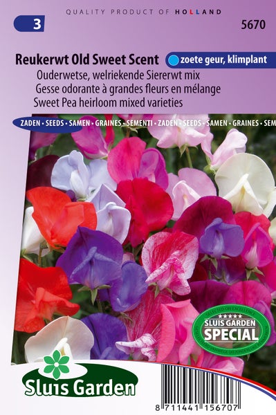 Samenpackung Duftwicke Old Sweet Scent, eine Mischung verschiedener Sorten von Sluis Garden