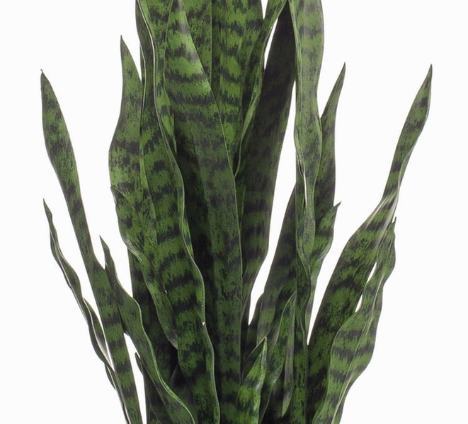 Detailansicht eines getrockneten botanischen Dekozweigs mit dichten Blütenständen aus Naturmaterial.