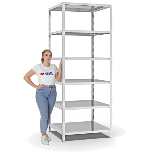 PROREGAL Fachbodenregal Schraubsystem Heavy-Duty Grundregal HxBxT 250 x 100 x 80 cm 6 Ebenen Fachlast 350 kg Beidseitig Nutzbar Lichtgrau