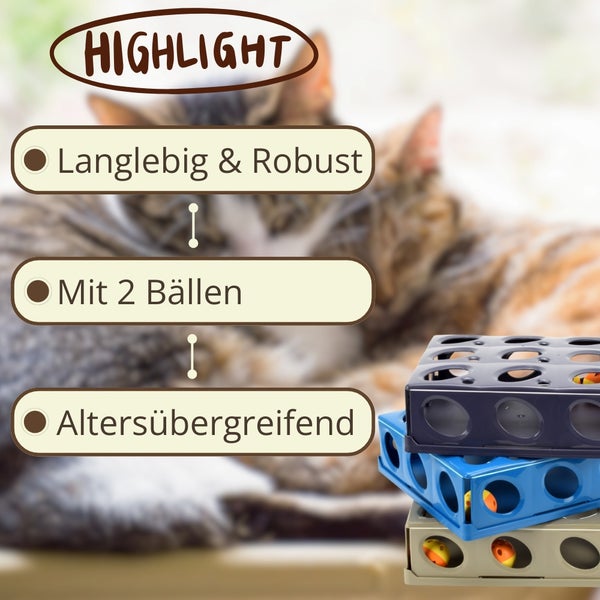 Katzenspielzeug Highlight: langlebig, robust, mit zwei Bällen, altersübergreifend