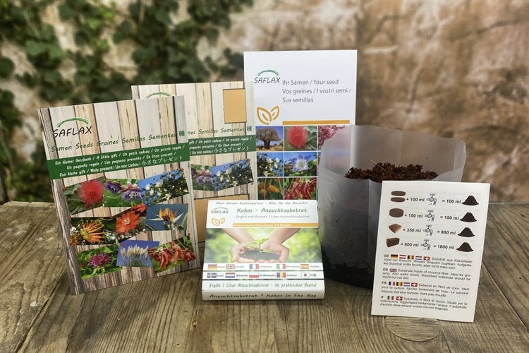 SAFLAX Geschenk Set - BIO - Kohlrabi - Superschmelz - Brassica oleracea var. gongyl. L. - 20 Samen - Mit Geschenkbox, Versandaufkleber, Geschenkkarte und Anzuchtsubstrat
