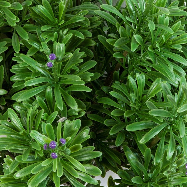 Künstlicher Zweig mit grünen nadelartigen Blättern und kleinen Knospen.