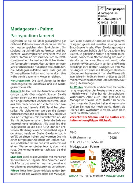 SAFLAX Garden to go - Madagascar - Palme - Pachypodium lamerei - 10 Samen - Mit Topf, Klima - Deckel und Anzuchtsubstrat