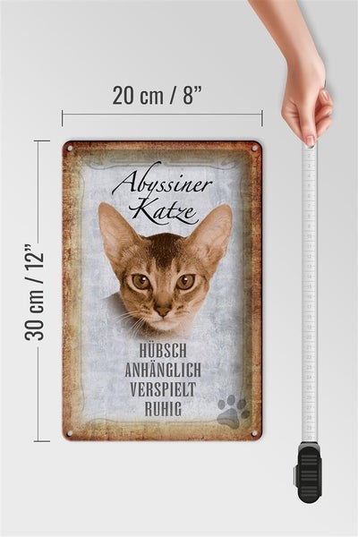 Blechschild Spruch 20x30cm Abyssiner Katze hübsch verspielt