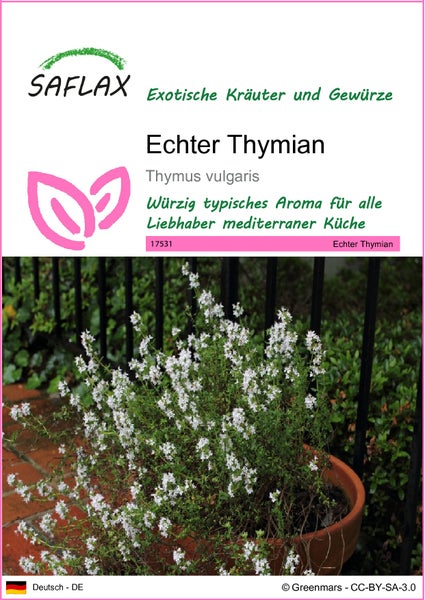 SAFLAX  - Echter Thymian - Thymus vulgaris - 200 Samen