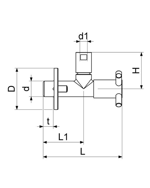 Maßzeichnung einer Armatur mit den Maßangaben D, d, t, L1, L, d1 und H.