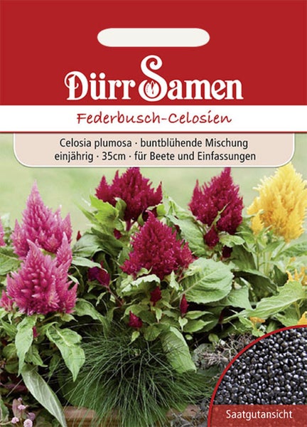 Dürr Samen Logo, Samentüte Federbusch-Celosien Celosia plumosa, bunte Mischung, einjährig, 35 Zentimeter hoch, mit Ansicht der Samenkörner.