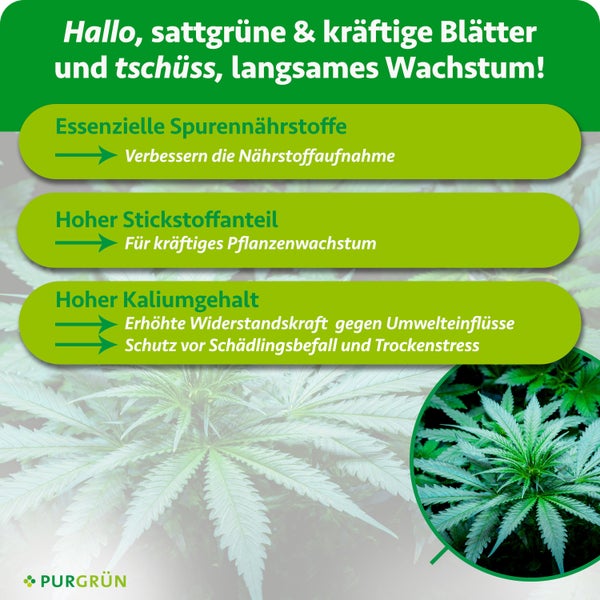 Infografik zu Purgrün Pflanzendünger mit Details zu Spurennährstoffen, Stickstoffanteil für Wachstum und Kaliumgehalt für Widerstandskraft. Purgrün Logo