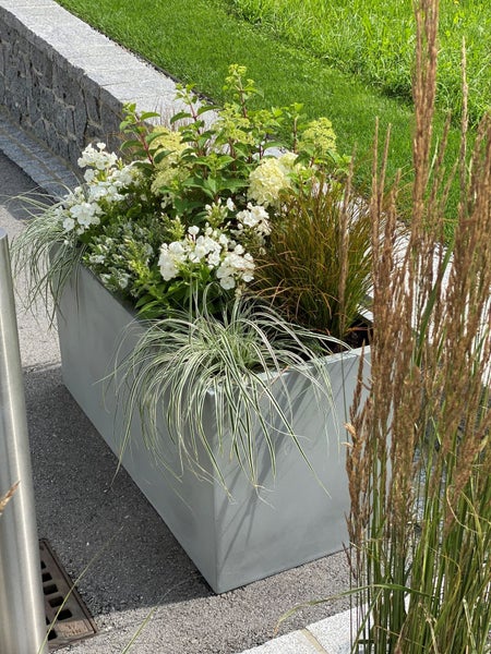 Rechteckiger grauer Pflanzkasten mit einer Anordnung aus weißen Blumen und Ziergräsern in einer Gartenanlage.