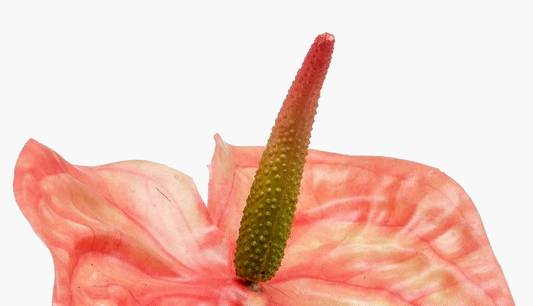 Künstlicher Magnolienzweig mit einer großen weißen Blüte und mehreren geschlossenen Knospen an braunen Zweigen.