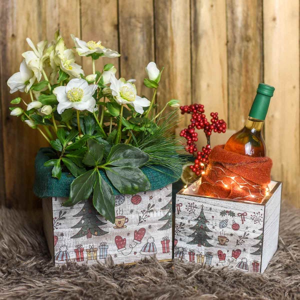 Dekorative Holzboxen mit Weihnachtsmotiven, eine mit Christrosen bepflanzt, die andere mit einer Flasche Wein.
