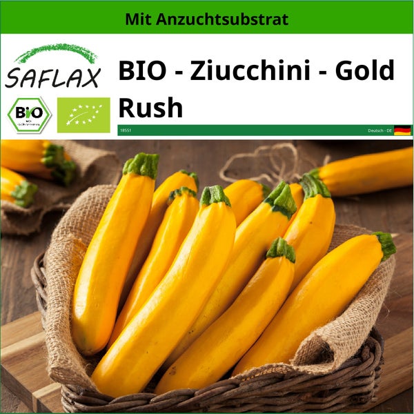 SAFLAX  - BIO - Ziucchini - Gold Rush - Cucurbita pepo var. cylindrica - 5 Samen - Mit keimfreiem Anzuchtsubstrat