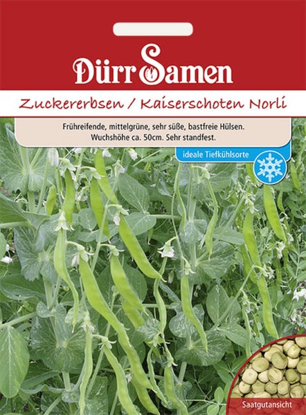 Deine Gartenwelt Gurkensamen-Set mit 8 verschiedenen Sorten in Einzelverpackungen.