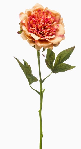 Künstliche Pfingstrose mit einer Blüte in Apricot und Rosa sowie einem grünen Stiel mit Blättern.
