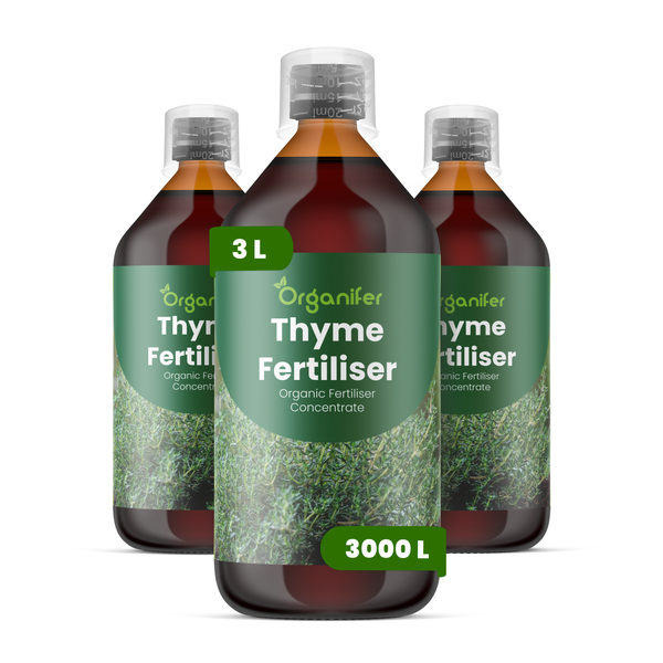 Drei Flaschen Organifer Thymian-Dünger, organisches Düngerkonzentrat, jeweils 3 Liter für 3000 Liter Gießwasser.