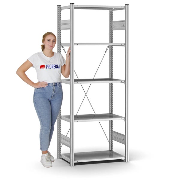 PROREGAL Profi Lagerregal Stecksystem T-Profil Grundregal HxBxT 200 x 75 x 40 cm Fachlast 125 kg Verzinkt