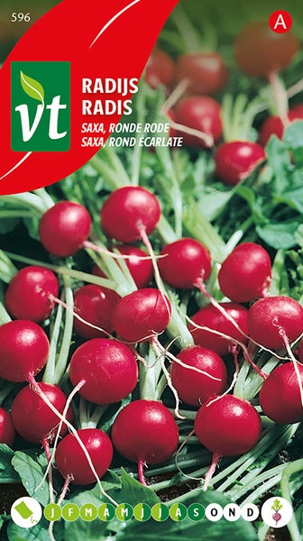 Radieschen Samen der Sorte Saxa, Ronde Rode