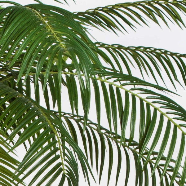 Künstliche Palme mit hohem Stamm und grünen Wedeln in einem schwarzen Kunststofftopf.