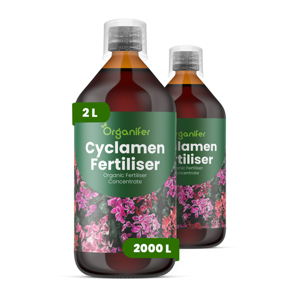 Zwei Flaschen Organifer Alpenveilchen Dünger, organisches Düngerkonzentrat, je zwei Liter, ausreichend für zweitausend Liter Gießwasser.