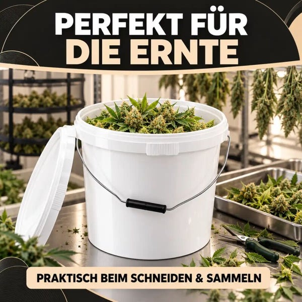 Weißer Eimer mit Deckel zur Aufbewahrung von geernteten Pflanzenblüten auf einem Arbeitstisch mit Ernteschere.
