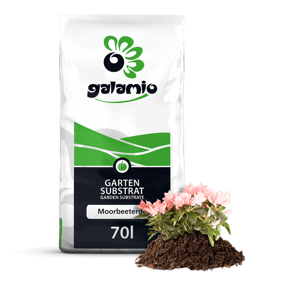 Strandliege mit Rädern und Kopfkissen