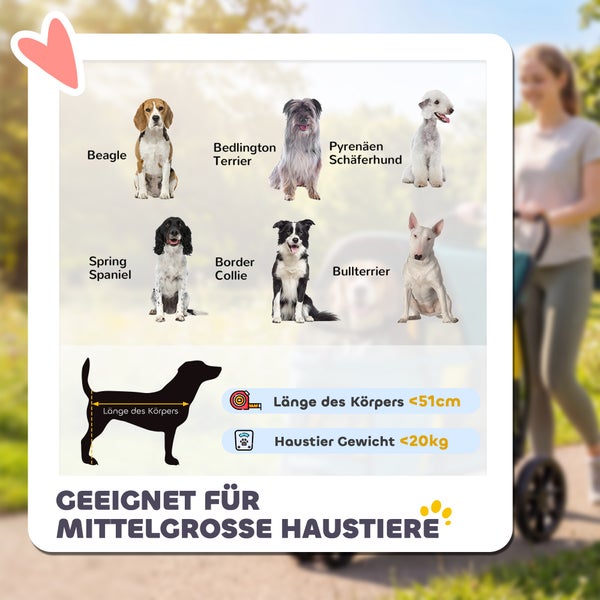 Infografik für mittelgroße Haustiere bis 20 Kilogramm und 51 Zentimeter Körperlänge. Gezeigte Hunderassen: Beagle, Border Collie und Bullterrier.