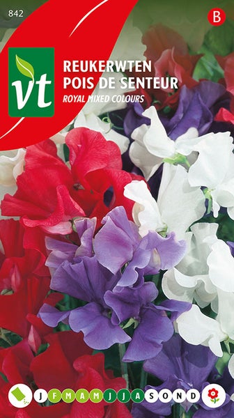 Duftwicke Royal Mixed Colours Samenpackung