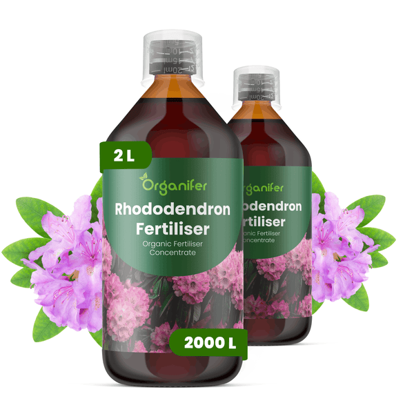 Zwei Flaschen Organifer Rhododendron-Dünger, organisches Konzentrat, 2 Liter für 2000 Liter Gießwasser.