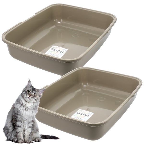 Zwei Katzentoiletten aus Kunststoff mit niedrigem Rand und einer Katze