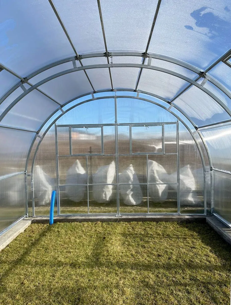 Innenansicht eines hellen, geräumigen Gewächshauses mit Rundbogendach, Metallrahmen und Polycarbonatplatten auf einem Rasenboden.