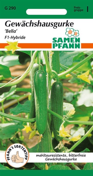 Samen Pfann Gewächshausgurke Bella F1-Hybride