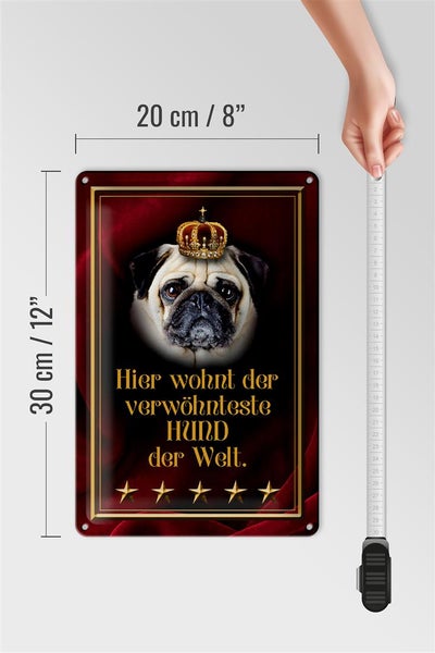 Blechschild Spruch 20x30cm hier wohnt Hund der Welt