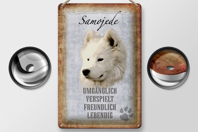 Blechschild Spruch 20x30cm Samojede Hund Schild