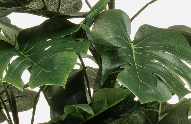 Künstlicher Philodendron HINAGIKU auf Steckstab, 70cm - Kunstpflanze Monstera deliciosa
