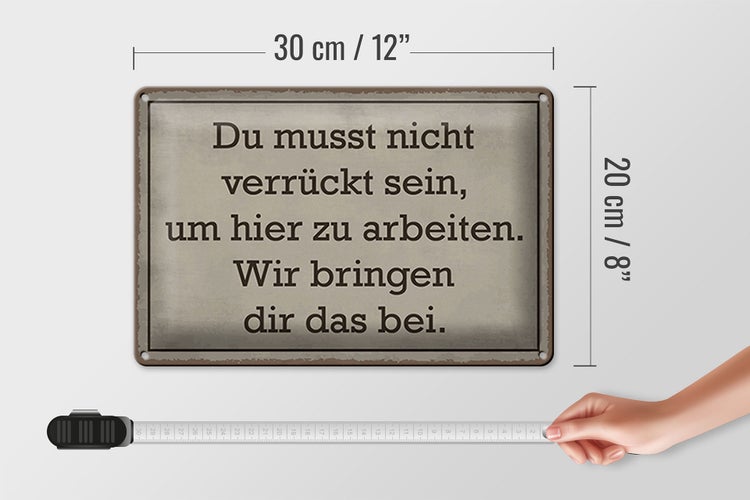 Blechschild Spruch 30x20cm du musst nicht verrückt sein arbeiten