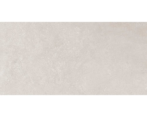 Wand- und Bodenfliese Europa Light Grey 31x62cm