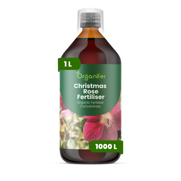 Organifer Christrosen-Dünger, organisches Düngerkonzentrat, 1 Liter Flasche für 1000 Liter.