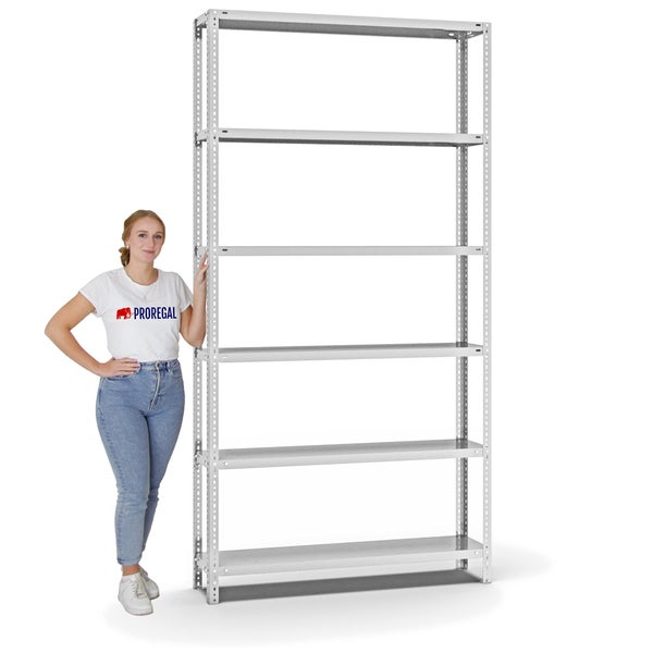 PROREGAL Fachbodenregal Schraubsystem Heavy-Duty Grundregal HxBxT 250 x 130 x 30 cm 6 Ebenen Fachlast 350 kg Beidseitig Nutzbar Lichtgrau