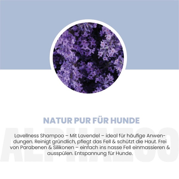 Lavendelblüten für Lavellness Hundeshampoo