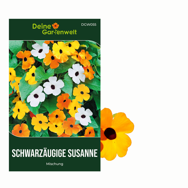 Samenpackung Schwarzäugige Susanne Mischung von Deine Gartenwelt.