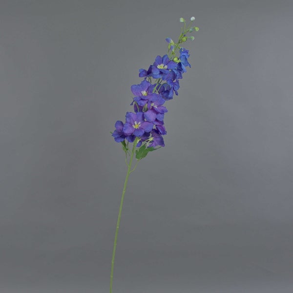 Begonia rex Blattbegonie mit silber-grün gemusterten Blättern und rosa Akzenten.