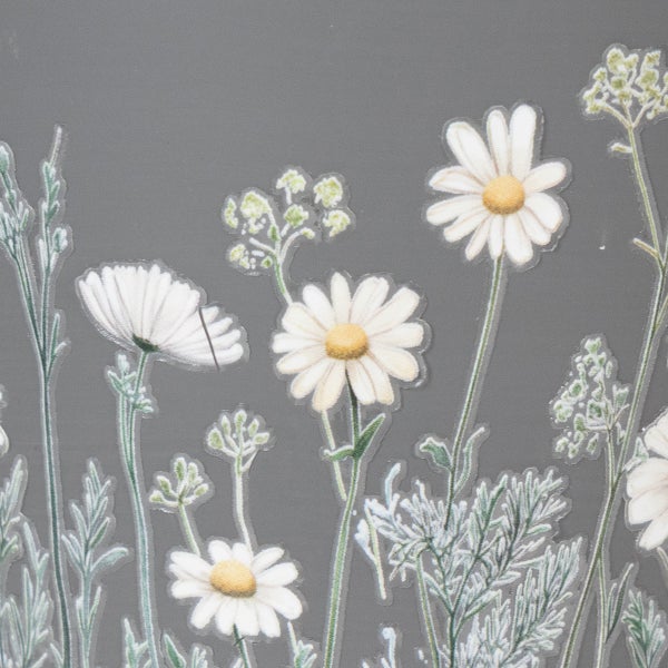 Wandtattoo oder Fensterfolie mit weißen Gänseblümchen und grünen botanischen Kräutern.