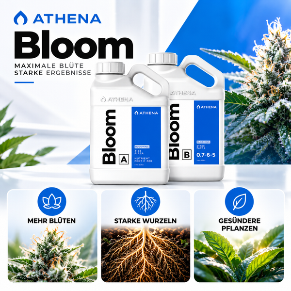 Athena Bloom A und B Pflanzendünger Set für maximale Blüte und starke Pflanzen.