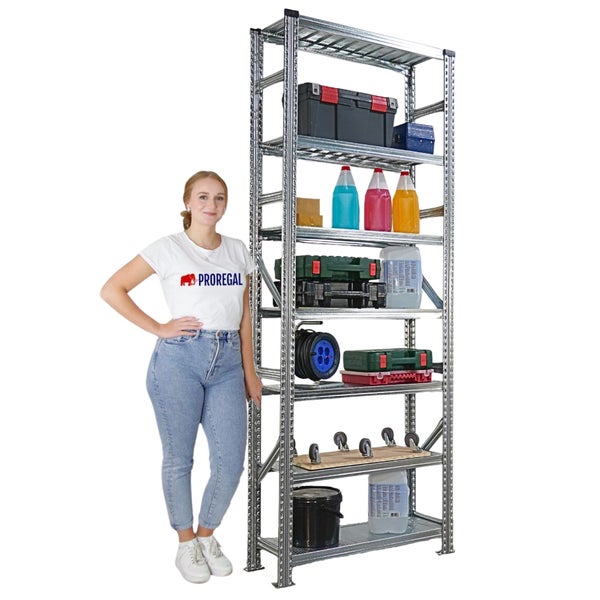 Hohes Metallregal mit diversen Werkzeugen und Behältern, flankiert von einer stehenden Person zur Größeneinschätzung.