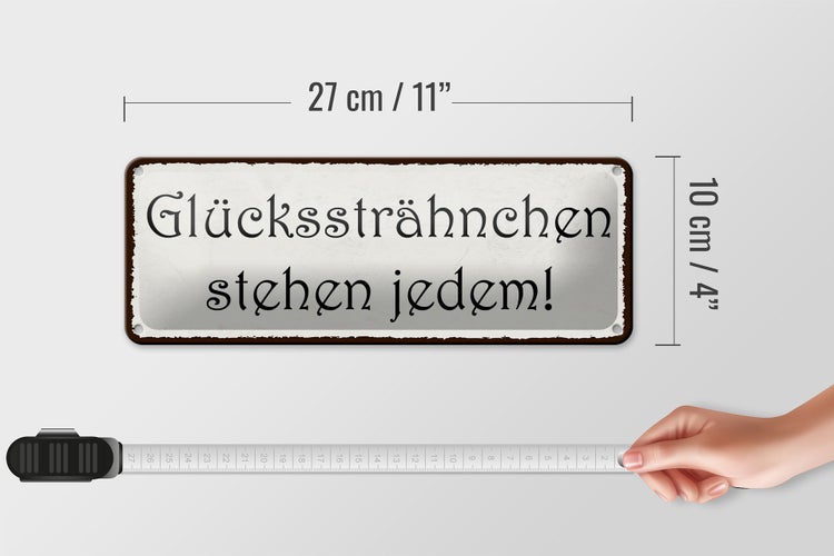 Blechschild Spruch 27x10cm Glückssträhnchen stehen jedem Dekoration