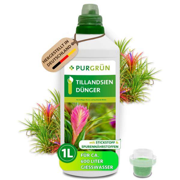 Eine Flasche Purgrün Tillansien Dünger mit 1 Liter Inhalt für circa 600 Liter Gießwasser, geeignet für kräftigen Wuchs und leuchtende Blüten.