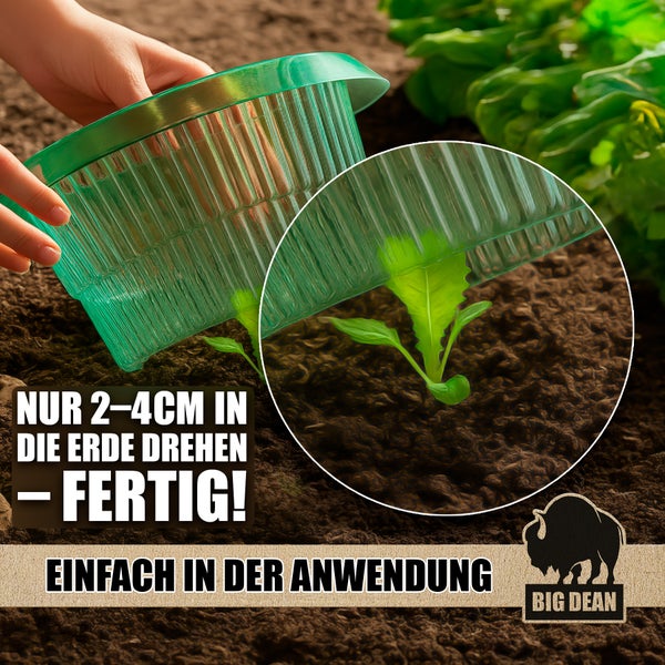Nahaufnahme einer transparenten, gerippten Anzuchthaube über einer Pflanze im Boden, mit dem Big Dean Logo.