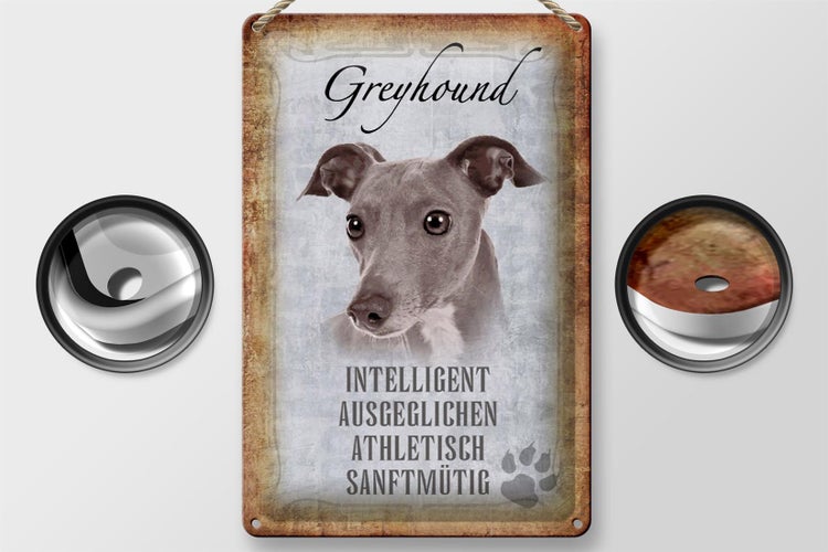 Blechschild Spruch 20x30cm Greyhound Hund Schild